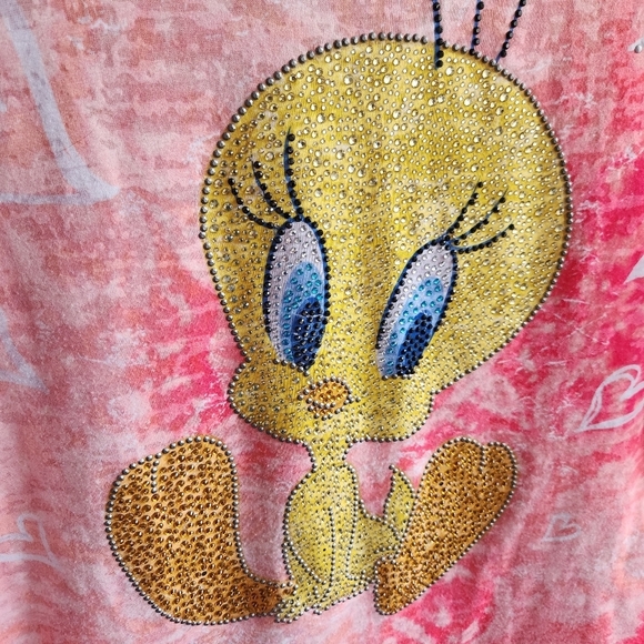 Looney Tunes Frogbox Tweety Bird Pink Peach Burnout T Shirt Graphic Shirt Size L - Picture 4 of 13